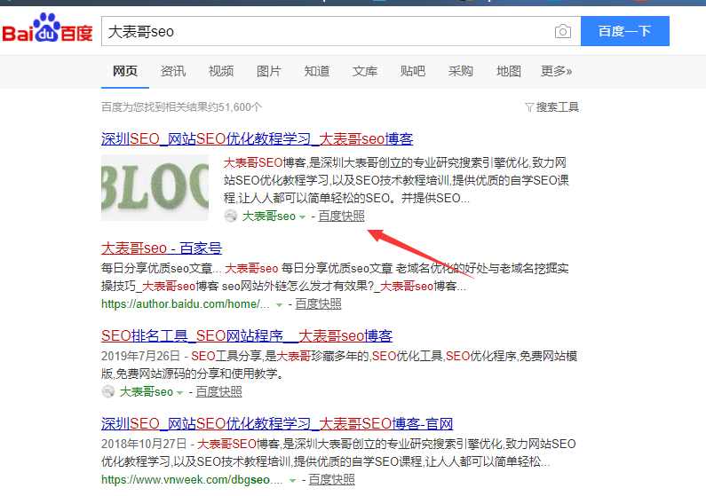 大表哥seo博客的网站历史快照